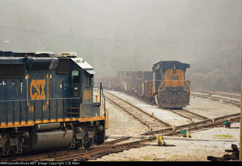 Filling Up The Yard